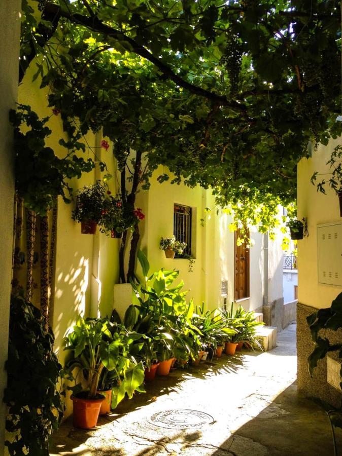 Casa Corasol, A Cozy, Comfy, 2Br House- Panoramic View And Rooftop Canar Exteriör bild